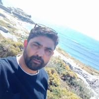 Riadh T.
