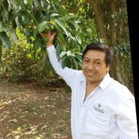 Edwin Alexander Chamorro Zuñiga