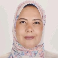 Samar Hussein