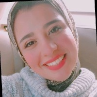 Dina samer