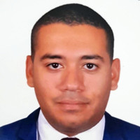 Mohamed Abd Elhamed Ahmed Shokry