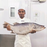 Rohan Chalwadi