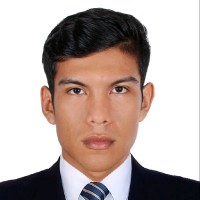 Willian Chavez Novoa