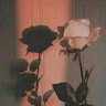 Edith Gustafsson