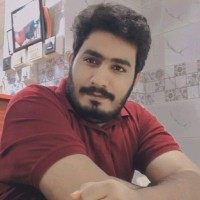 Syed Shabeeh Ul Hassan