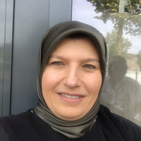 Ayse Bulut