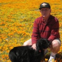 Stan Sorensen