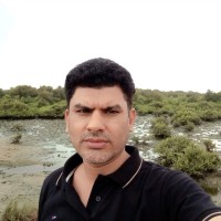 Syed Ammar Yasir Bukhari