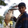 Creative A.J