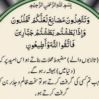 Saleem Shahid Shahid