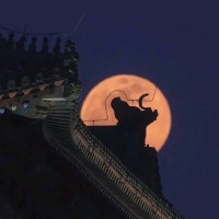 纪明君