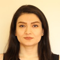 Mitra Ahmadi