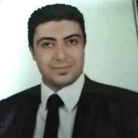 Ahmed Abd Elmegeed Seleem