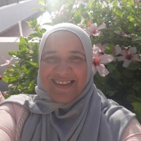 Hassiba Arfa