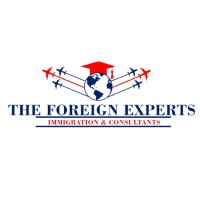 The Foreign Expert