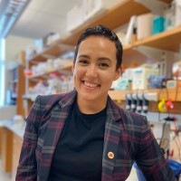 Nina R. Montoya, Ph.D.