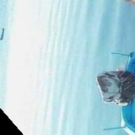 ابوبكر البعباع