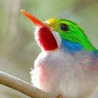 Sajjad Hossin Sabbir