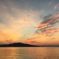 川嵜正嘉