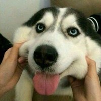 许良伟