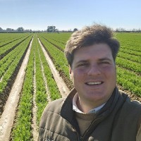 Fernando Artillo Guimerá