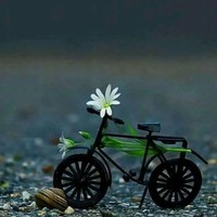 Tejashwini Yallaraddi