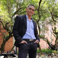 Mauricio Hoyos Ardila