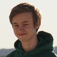 Nikolas Brandt
