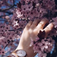 Flower Spring