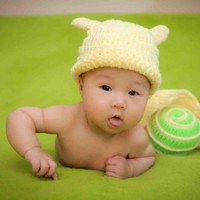 刘翰林