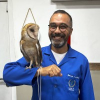 Marcelo Teixeira da Silva