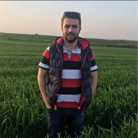 Serhat Berberoğlu