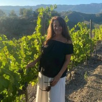 Sheri Perricone