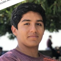 Mauricio Celedón Vega