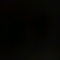 Vinícius Medeiros Silva