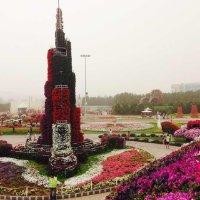 曾经过