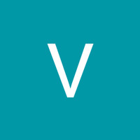 Vinicius Soares Leite