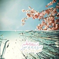 Mohamed Mohsen