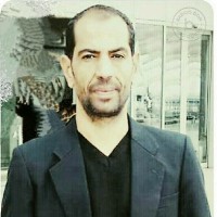 Maged Ali