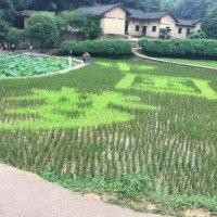 李建委