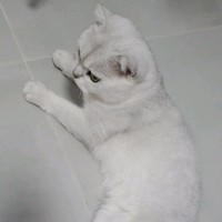 周星宏