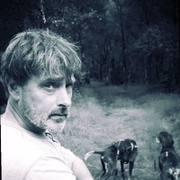 Olav Haugå