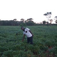 Paul Chaambwa