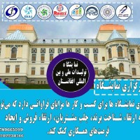 ziauddin zalmay