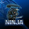 Mr Ninja