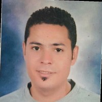 Mahmoud Elsayed