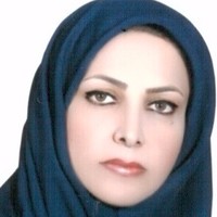 Nasrin Etminan