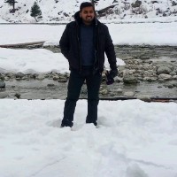 Muhammad Zia Ul Hassan