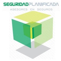 Profesional de Seguros