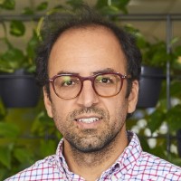 Mahdi Miri Disfani